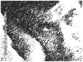   (2)    :  